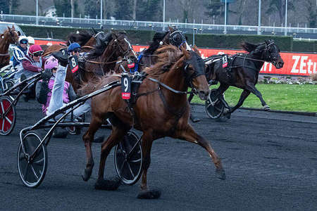 Actualités Hippiques